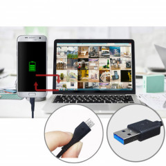 add_8805341 000755_20191203_515469.jpg